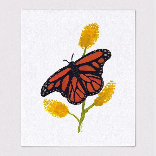 Monarch Butterfly - Premium Art Print