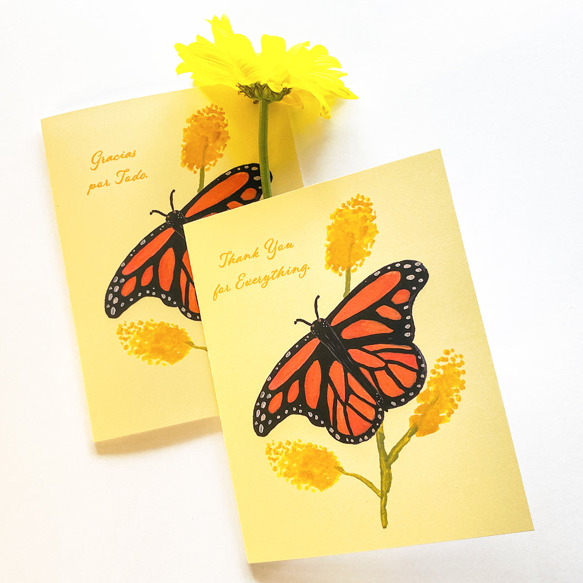 Monarch Butterfly Thank You - Card Sets